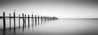 China Camp Panoramic Fine Art Print