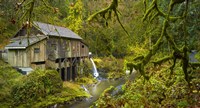 Cedar Creek Grist Mill Fine Art Print