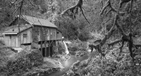 Cedar Creek Grist Mill B&W Fine Art Print