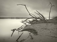 The End of History Fine Art Print