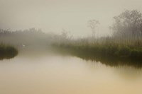 South Meadows Fine Art Print