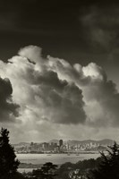 Colony Fine Art Print