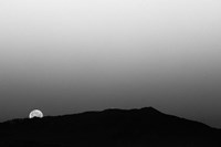 Goodbye Sweet Appetite Fine Art Print