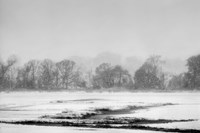 Blizzard Fine Art Print