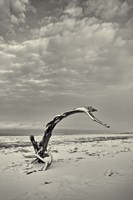 Spice Box of Earth Fine Art Print