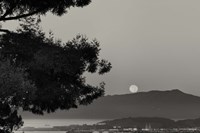 That Is That Fine Art Print