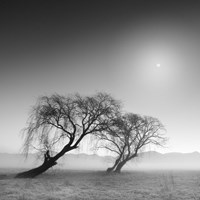 Reverencia Fine Art Print