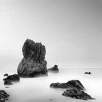 Smithereens Fine Art Print