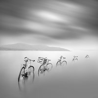 My Way Fine Art Print