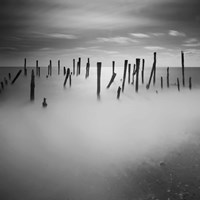 Out of Kindness I Suppose Fine Art Print