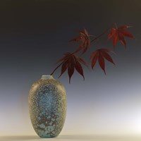Still Life with Japanese Maple and Raindrops Fine Art Print