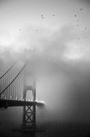 Golden Gate and Birds Framed Print