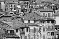 San Griminiano Texture Fine Art Print