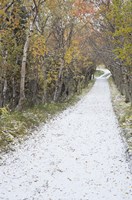 Snow Way 1 Fine Art Print