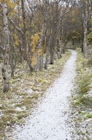 Snow Way 2 Fine Art Print