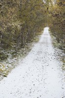 Snow Way 3 Fine Art Print