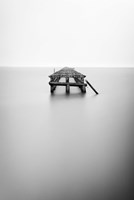 Infinite Jest Fine Art Print