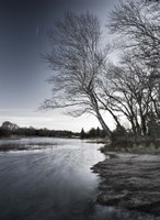 False Alarm Fine Art Print