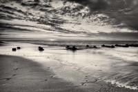 Pathetique Fine Art Print