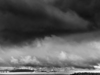 The Phoenix experience Fine Art Print