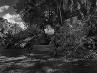 Strictly Ballroom Fine Art Print