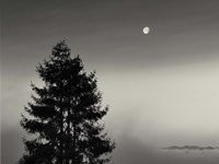 First There is No Mountain Fine Art Print