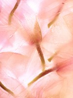 Flores Congeladas 594 Fine Art Print