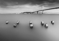 Larvae Fine Art Print