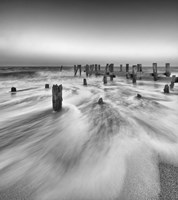 Insurgency Fine Art Print