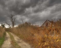 Who Killed My Sister Fine Art Print