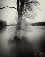 Surfactant Fine Art Print