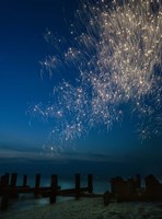 Contraband Fine Art Print