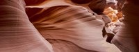 Antelope Panorama 1 Fine Art Print