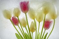 Flores Congeladas 603 1 Fine Art Print