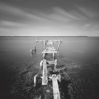 After Wilma Fine Art Print