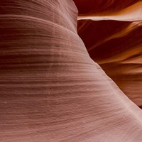 Antelope Panorama 1 of 3 Fine Art Print