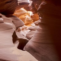 Antelope Panorama 3 of 3 Fine Art Print