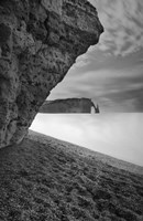 Despite What You May Have Heard Fine Art Print