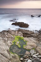 Monterey (122) by Moises Levy - various sizes