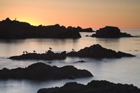 Monterey 3-67 Fine Art Print