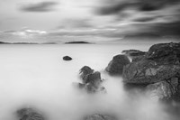 Life on Mars II Fine Art Print