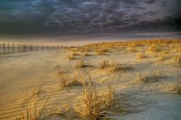 Poverty Beach Fine Art Print