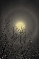 The Moon is the North Wind's Cookie Fine Art Print