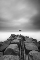 The Wreck of the Atlantus Fine Art Print