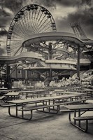 Winter Games Fine Art Print