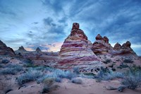 Cottonwood I Fine Art Print