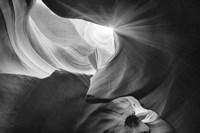 Searching Light IV Fine Art Print