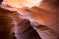 Smooth II Fine Art Print