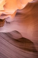 Smooth IV Fine Art Print