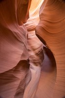 Spiral I Fine Art Print